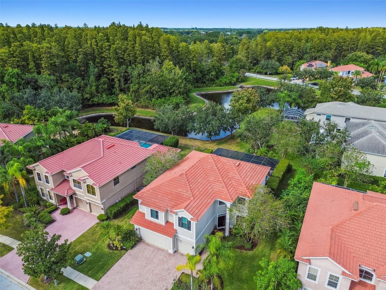 12803 Darby Ridge Drive, Tampa, FL 33624 Photo