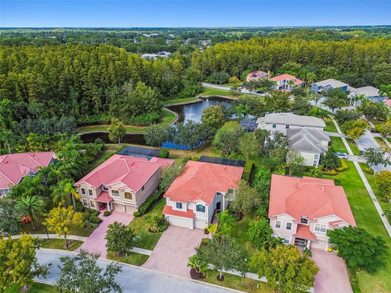 12803 Darby Ridge Drive, Tampa, FL 33624 Photo