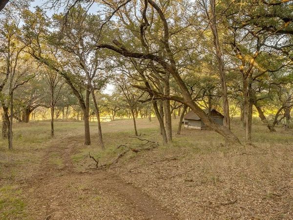 51 Cattle Trail, Palo Pinto, TX 76484
