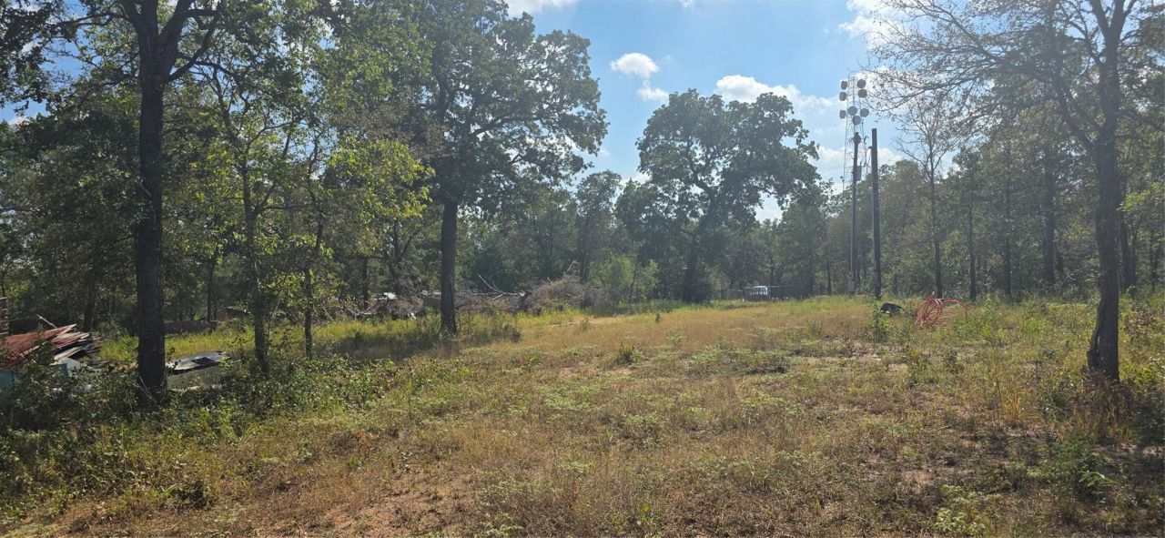 116 Red Oaks Dr, Dale, TX 78616 Main Photo