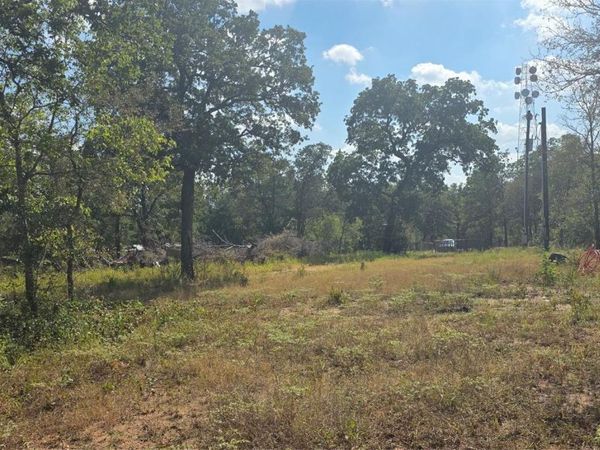 116 Red Oaks DR, Dale, TX 78616