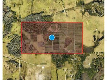 00 DOUGLAS ROAD, GROVELAND, FL 34736