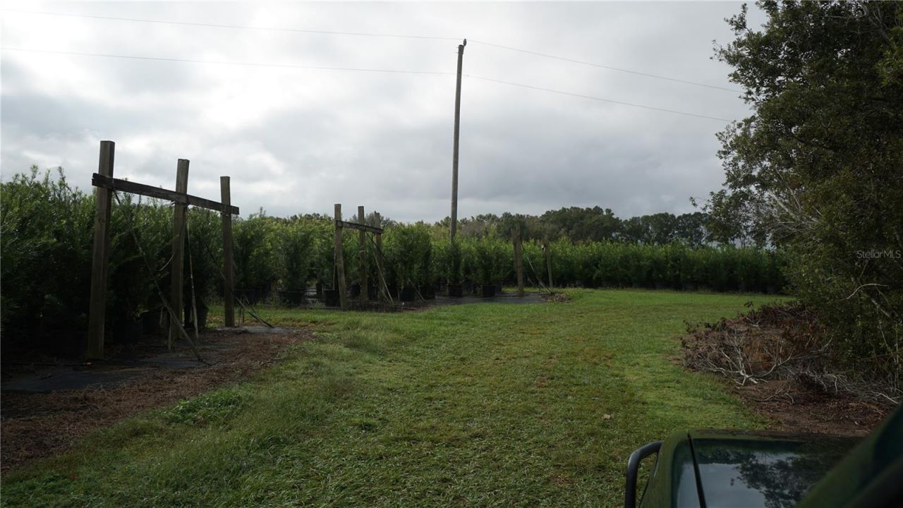 00 Douglas Road, Groveland, FL 34736 Photo