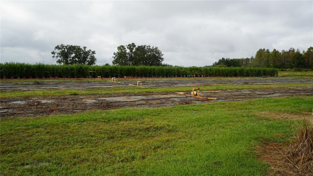 00 Douglas Road, Groveland, FL 34736 Photo