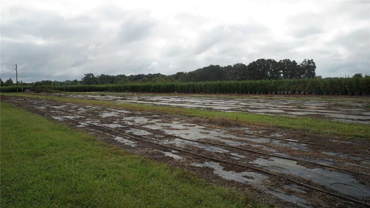 00 Douglas Road, Groveland, FL 34736 Photo