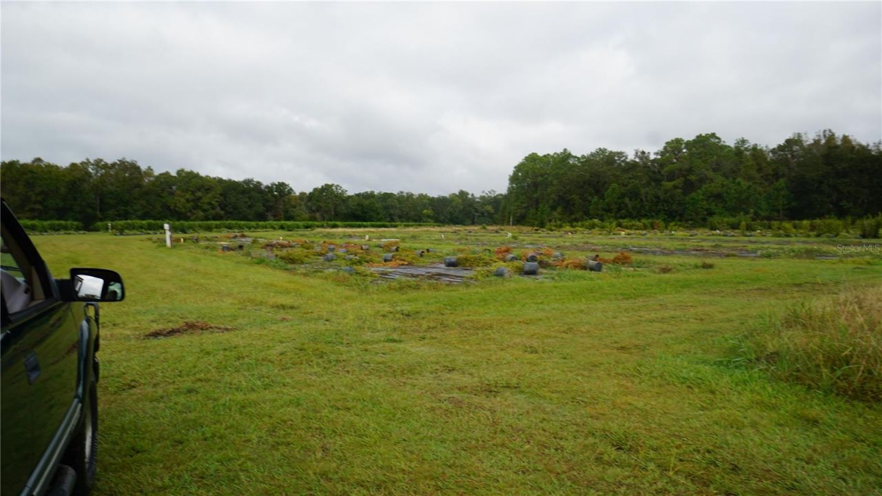 00 Douglas Road, Groveland, FL 34736 Photo