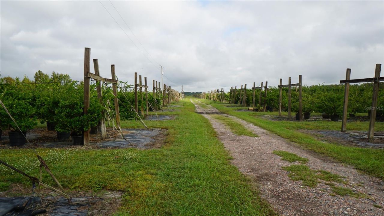 00 Douglas Road, Groveland, FL 34736 Photo