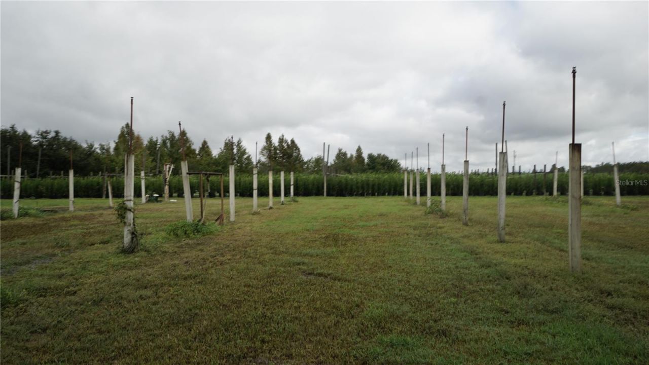 00 Douglas Road, Groveland, FL 34736 Photo