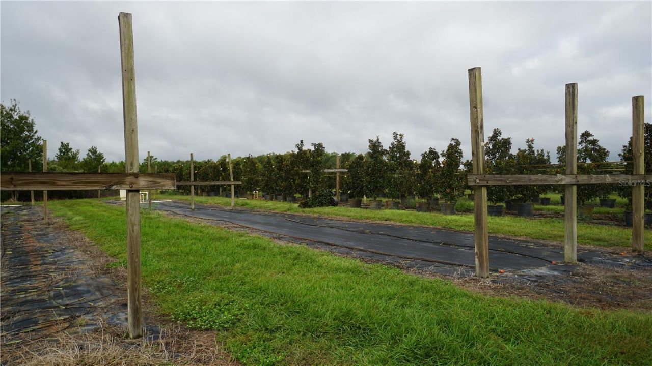 00 Douglas Road, Groveland, FL 34736 Photo