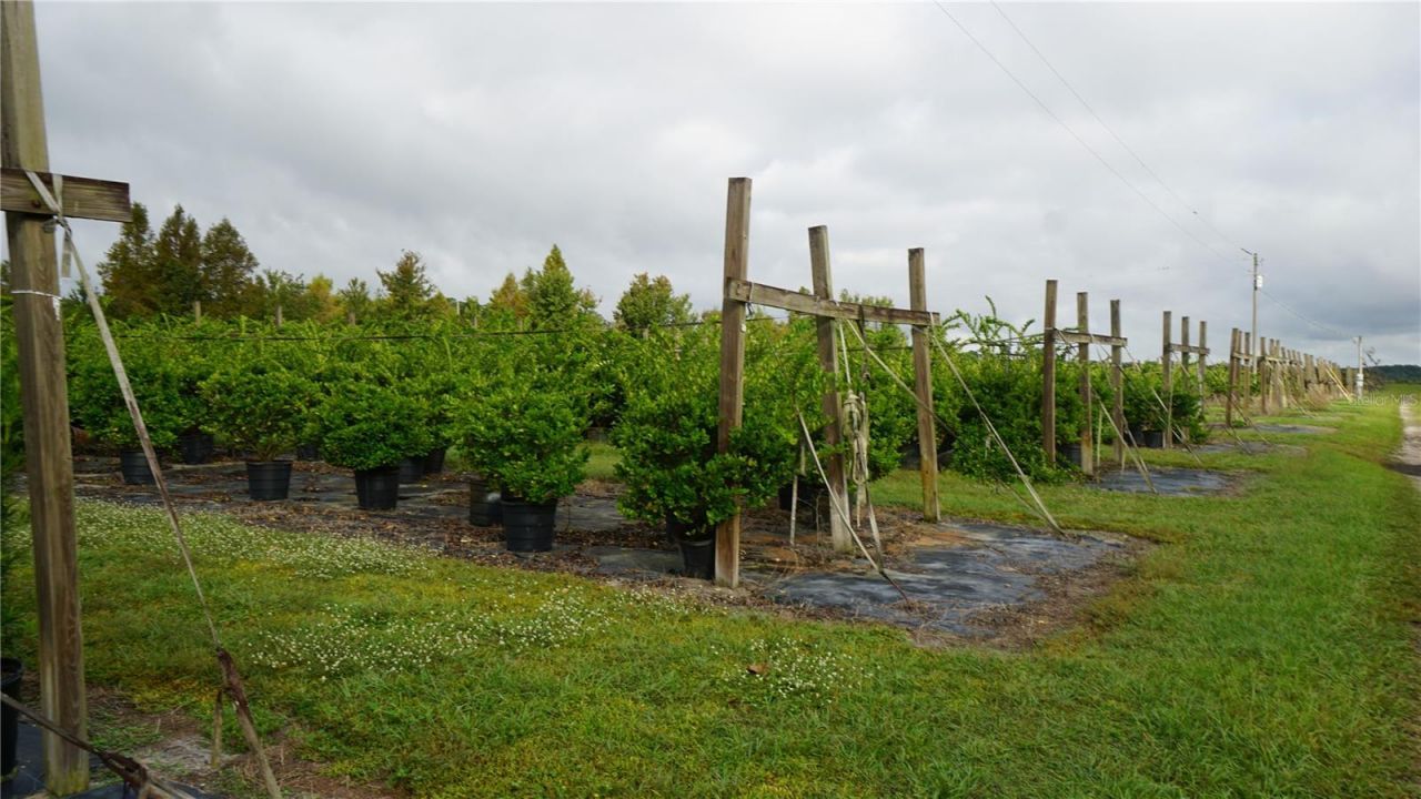 00 Douglas Road, Groveland, FL 34736 Photo