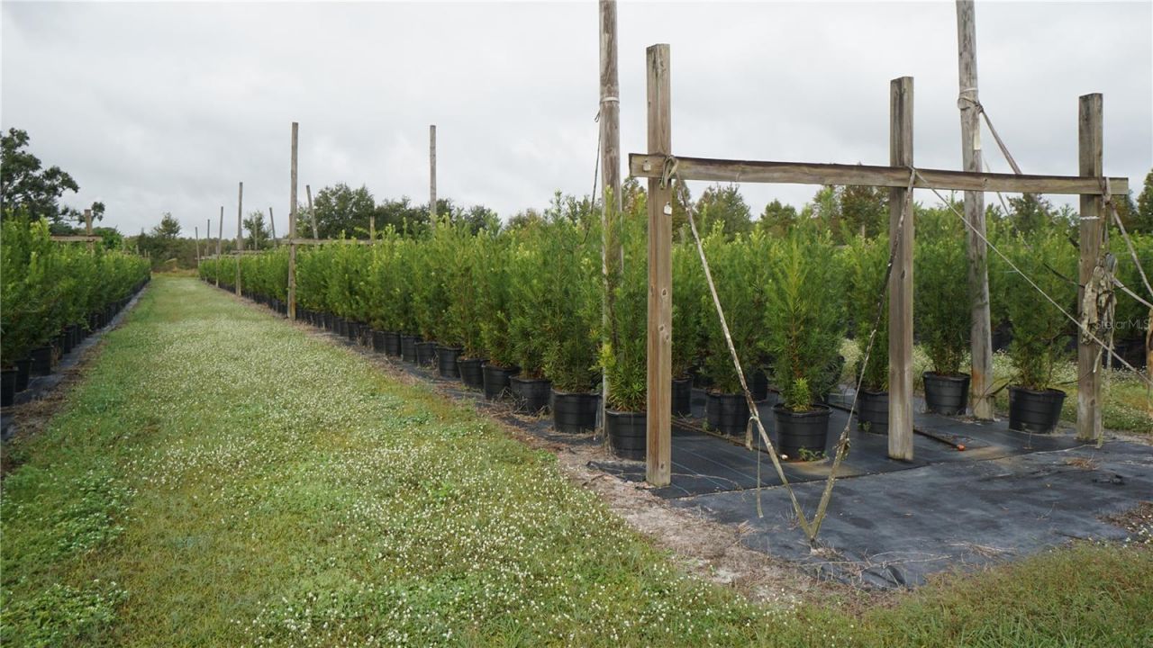 00 Douglas Road, Groveland, FL 34736 Photo