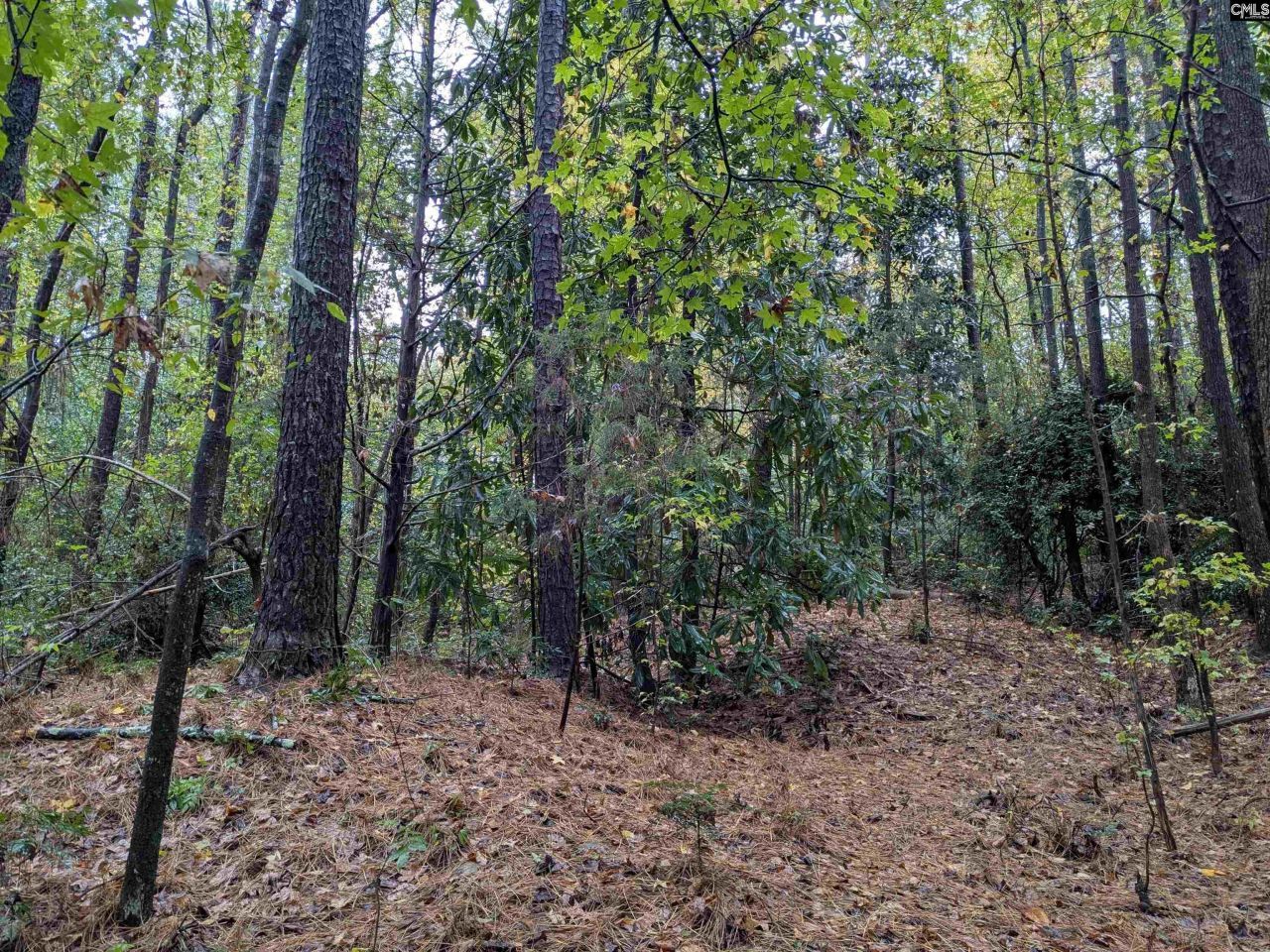 0 Evens Street Extension  Photo 4