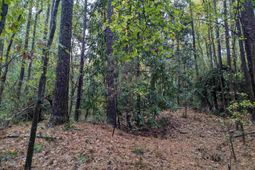 0 Evens Street Extension  photo 4