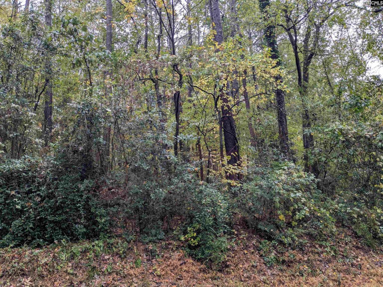 0 Evens Street Extension  Photo 5