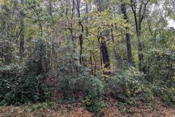 0 Evens Street Extension  photo 4