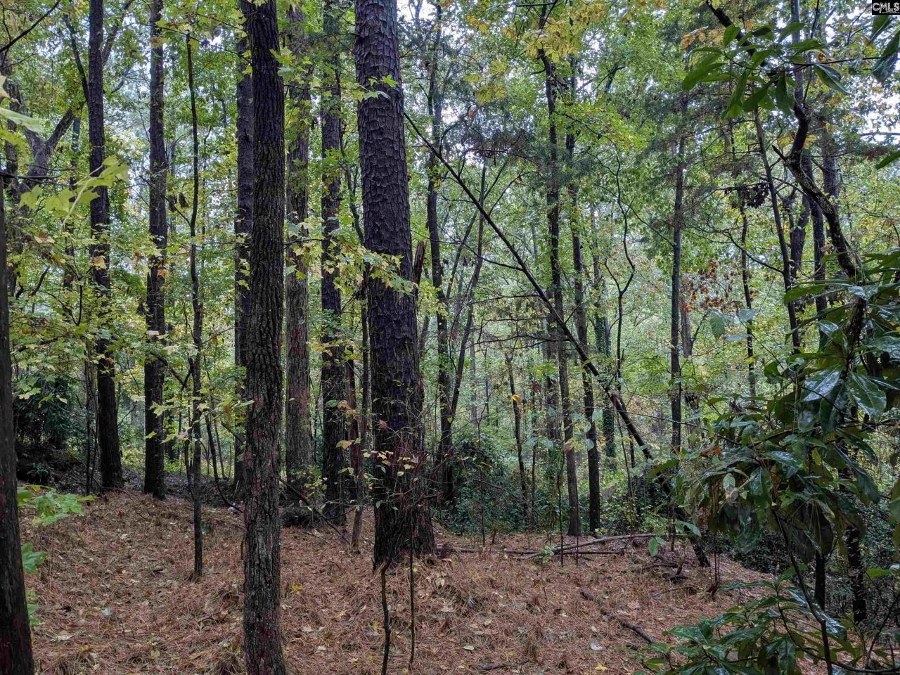 0 Evens Street Extension  Photo 6