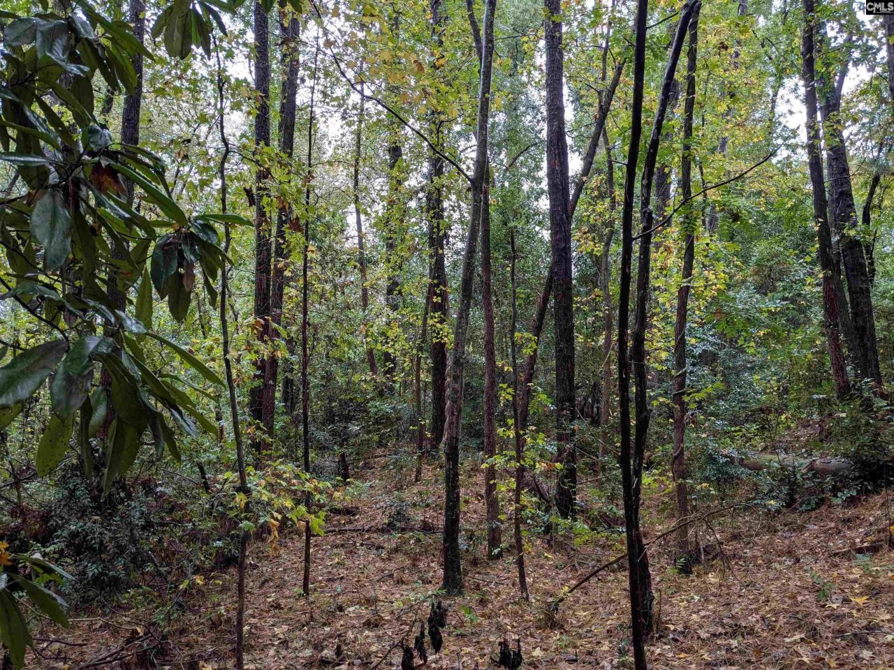 0 Evens Street Extension  Photo 7