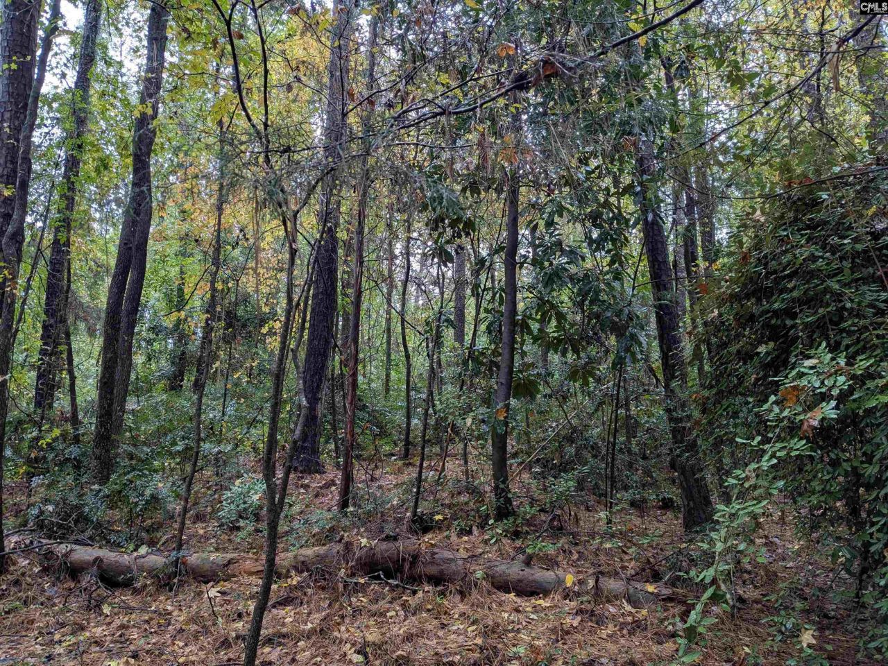 0 Evens Street Extension  Photo 8