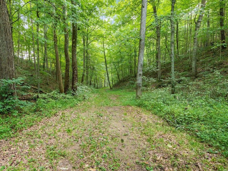 0 US Highway 50, McArthur, OH 45651 Photo 22