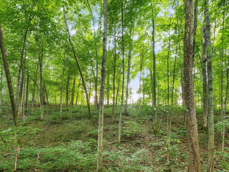 0 US Highway 50, McArthur, OH 45651 Photo 24