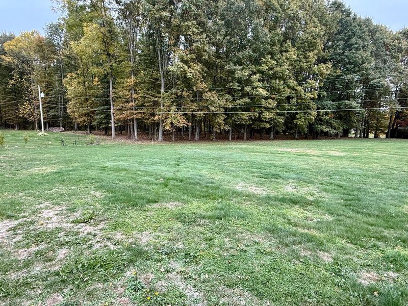 9136 Mount Gilead Road, Fredericktown, OH 43019 Photo 4