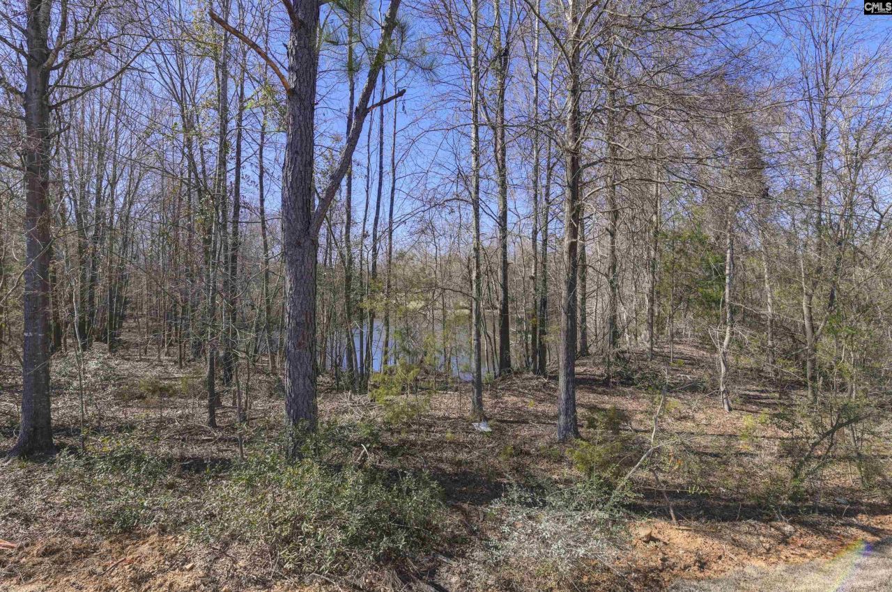 247 Boseman Road Photo 24