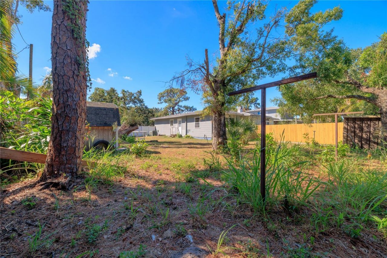 8231 36th Avenue N, Saint Petersburg, FL 33710 Photo