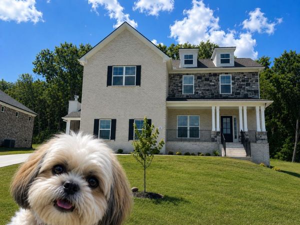 622 Spring Hill Dr lot 5, Smyrna, TN 37167