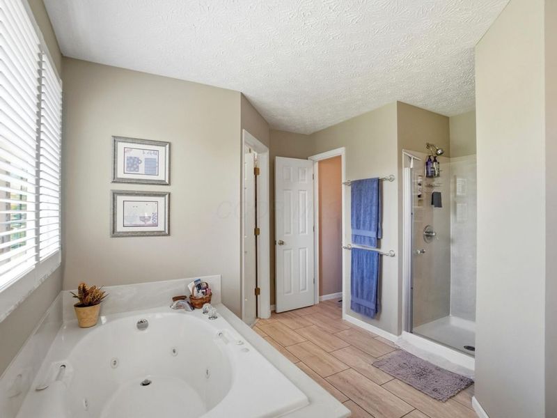 2165 Ben Brush Place, Lewis Center, OH 43035 Photo 39