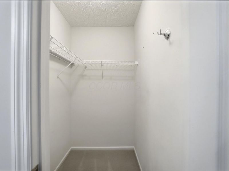 2165 Ben Brush Place, Lewis Center, OH 43035 Photo 43