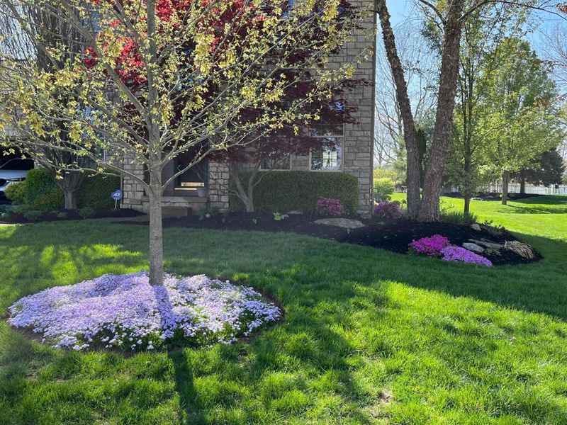 2165 Ben Brush Place, Lewis Center, OH 43035 Photo 65