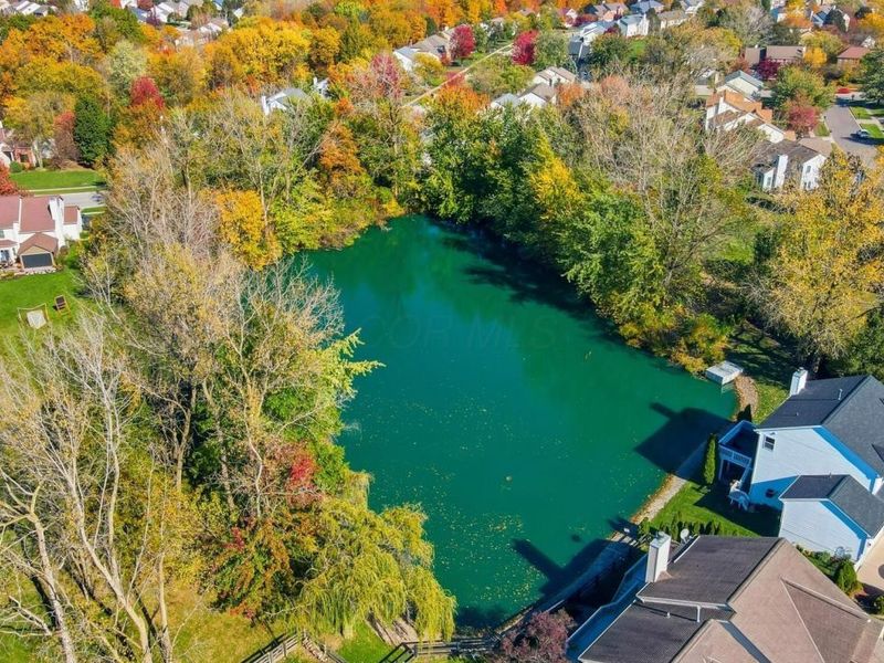 2165 Ben Brush Place, Lewis Center, OH 43035 Photo 77