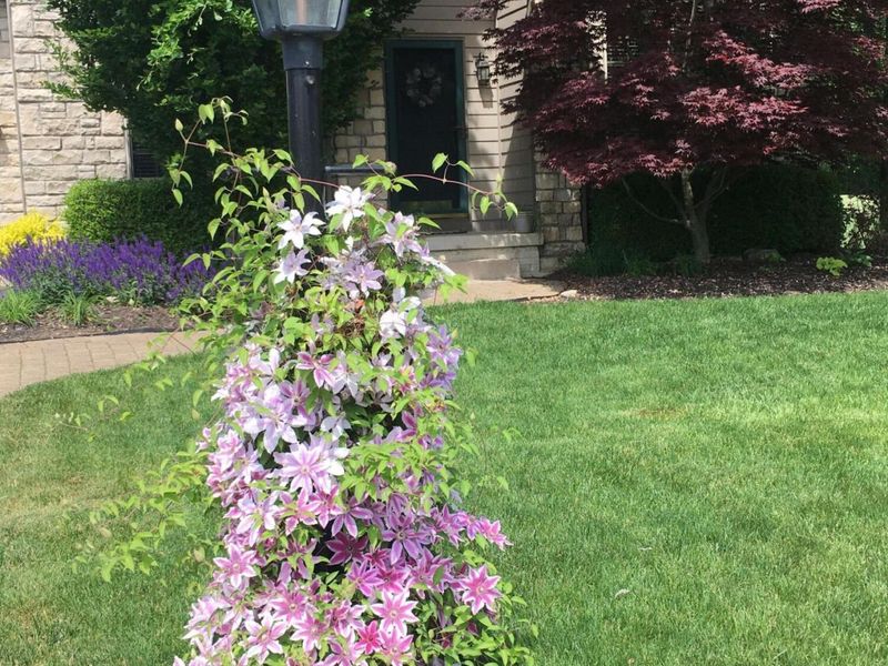 2165 Ben Brush Place, Lewis Center, OH 43035 Photo 78