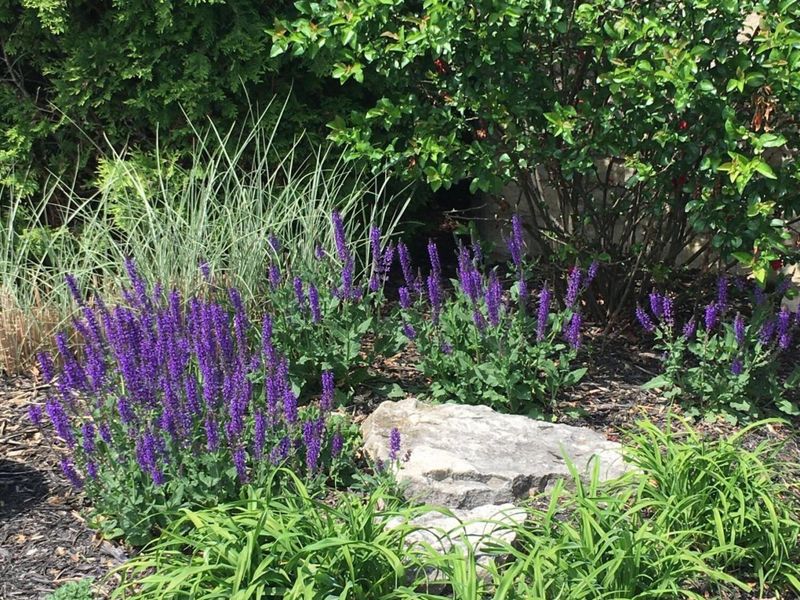 2165 Ben Brush Place, Lewis Center, OH 43035 Photo 79