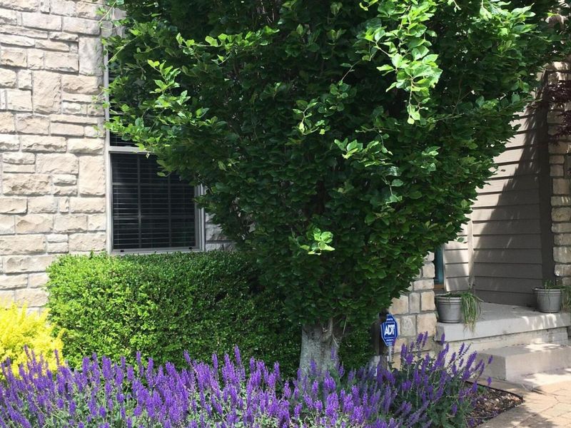 2165 Ben Brush Place, Lewis Center, OH 43035 Photo 81