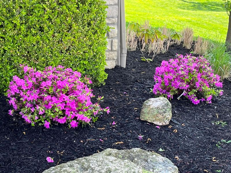 2165 Ben Brush Place, Lewis Center, OH 43035 Photo 82