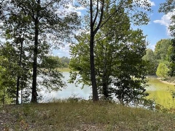 00 Graves Lane, Trenton, TN 38382