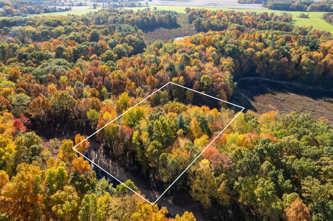 11355 Angel Woods Drive Ne, Rockford, MI 49341 Main Photo