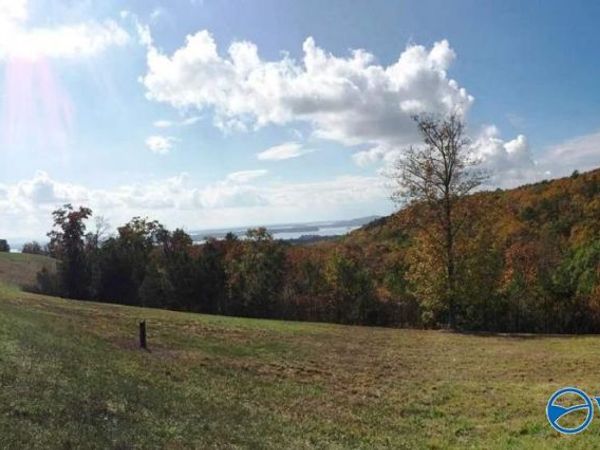Lot 50 County Road 767, Cedar Bluff, AL 35959