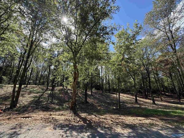 #12B County Road 1123, Vinemont, AL 35179