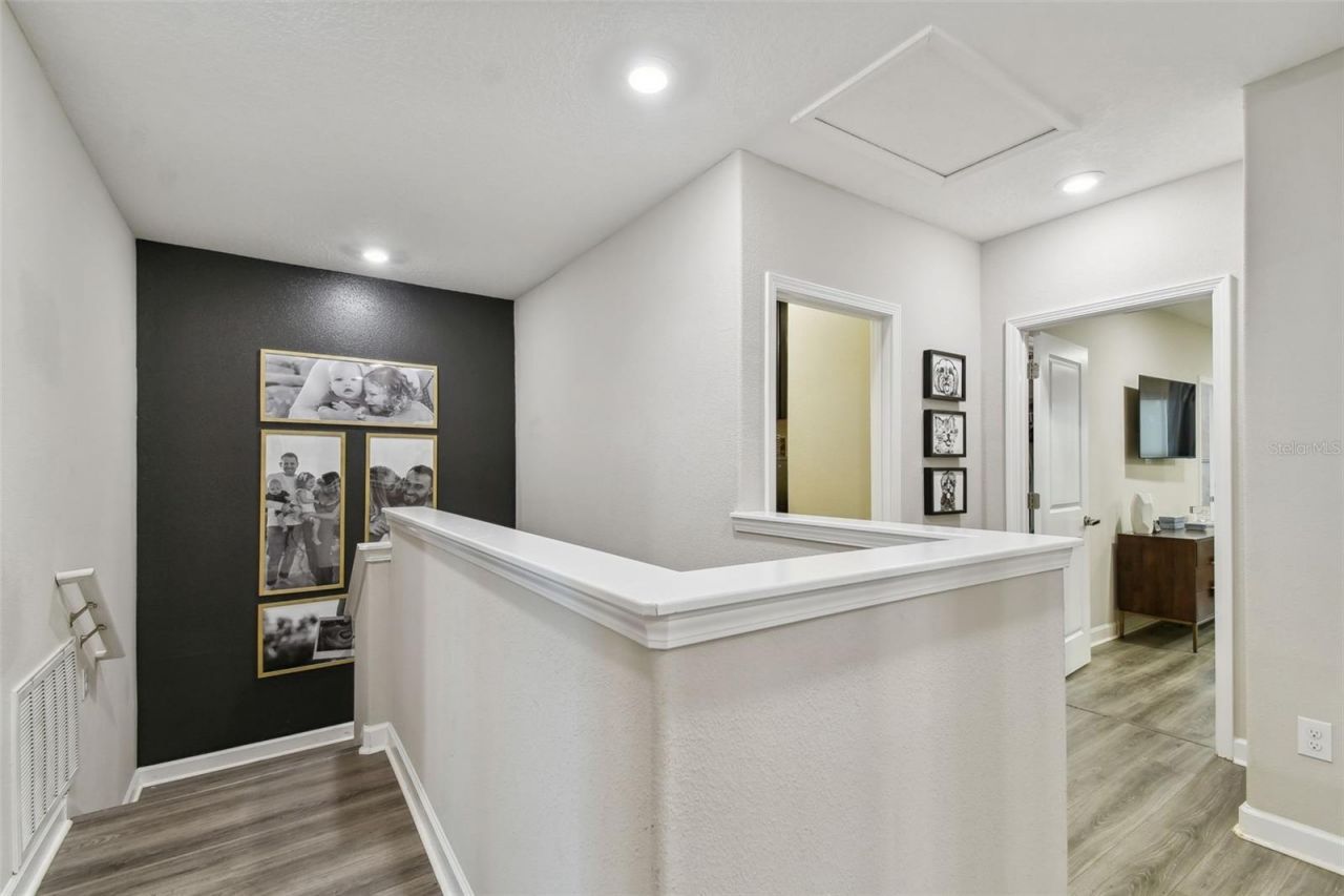 10012 Corso Milano Drive, Tampa, FL 33625 Photo