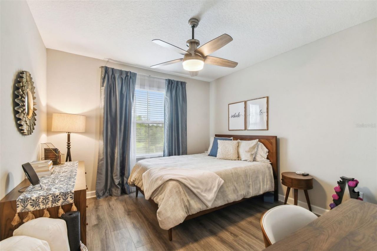 10012 Corso Milano Drive, Tampa, FL 33625 Photo