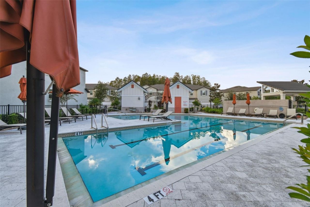10012 Corso Milano Drive, Tampa, FL 33625 Photo