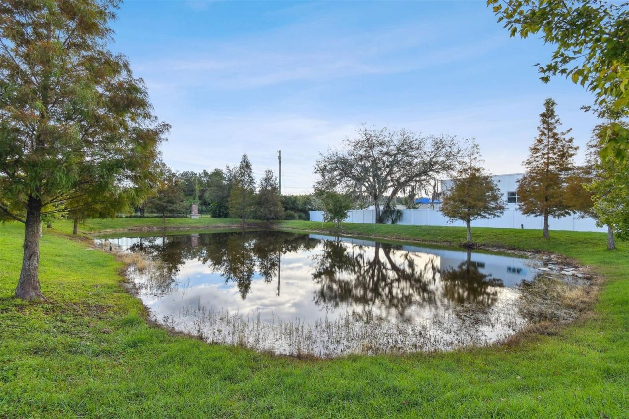 10012 Corso Milano Drive, Tampa, FL 33625 Photo