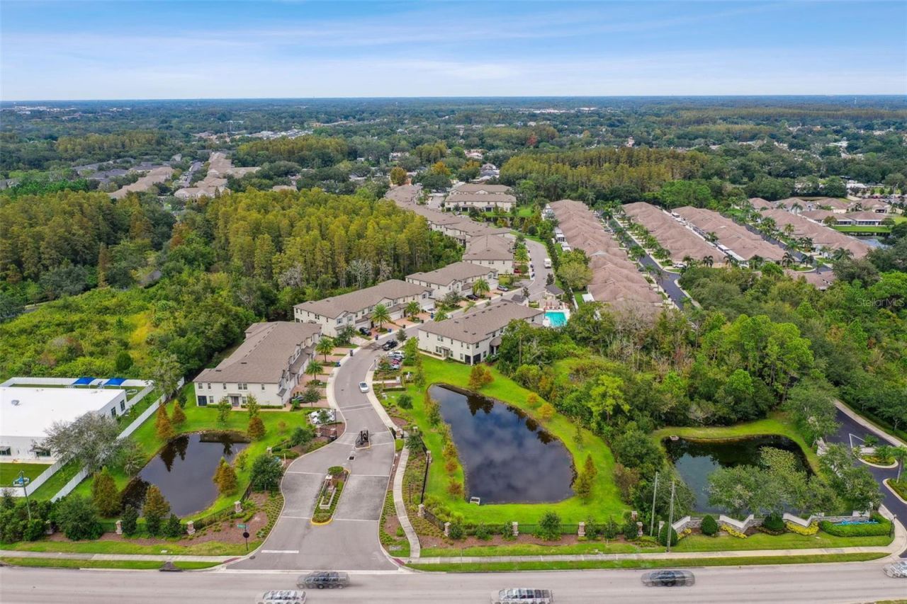 10012 Corso Milano Drive, Tampa, FL 33625 Photo