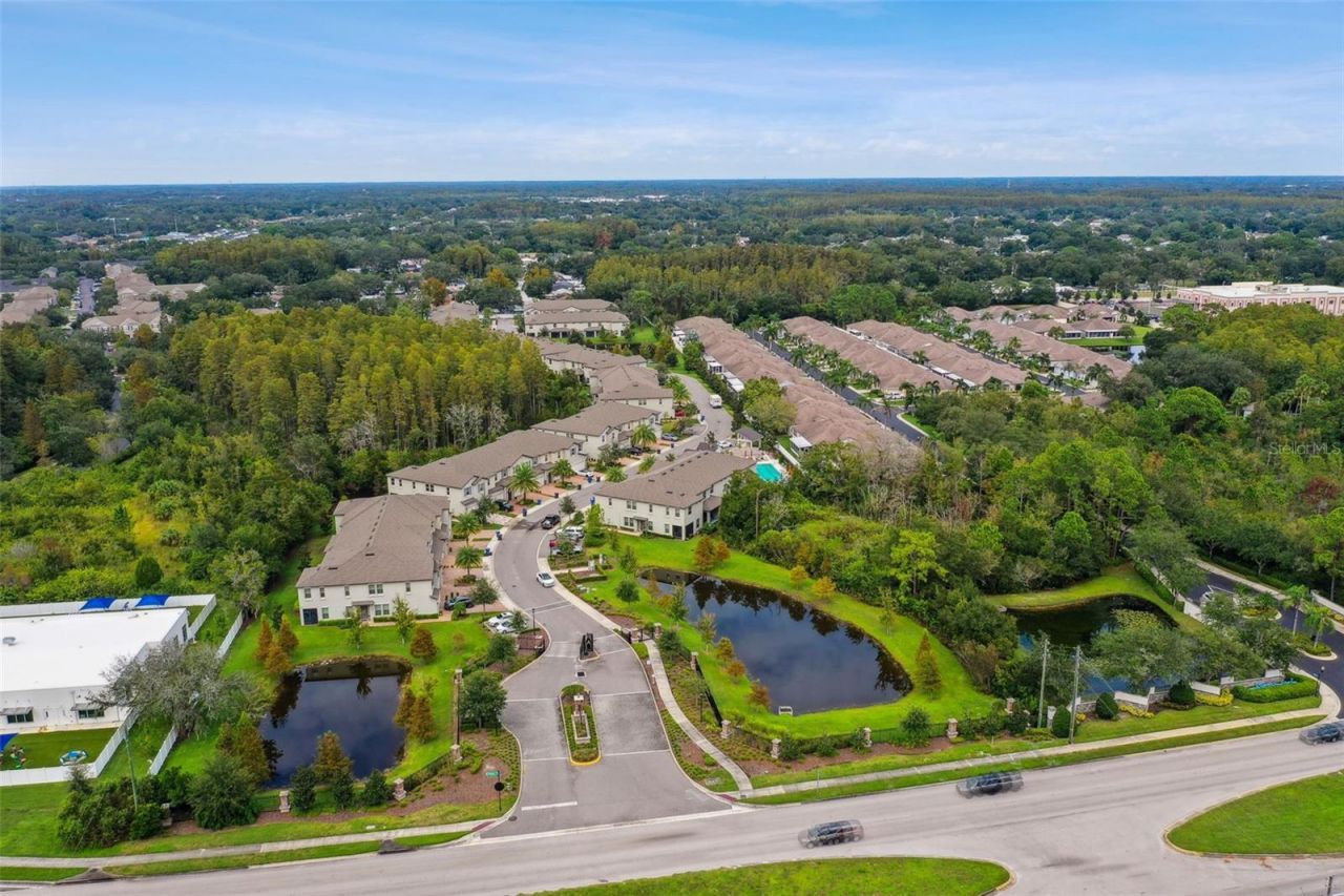 10012 Corso Milano Drive, Tampa, FL 33625 Photo