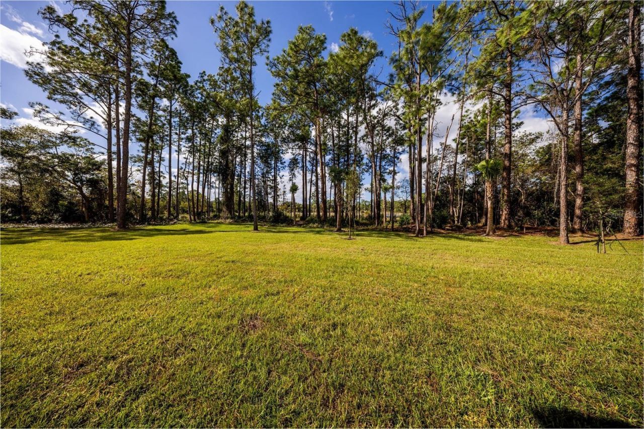 310 Mitnik Drive, Deltona, FL 32738 Photo