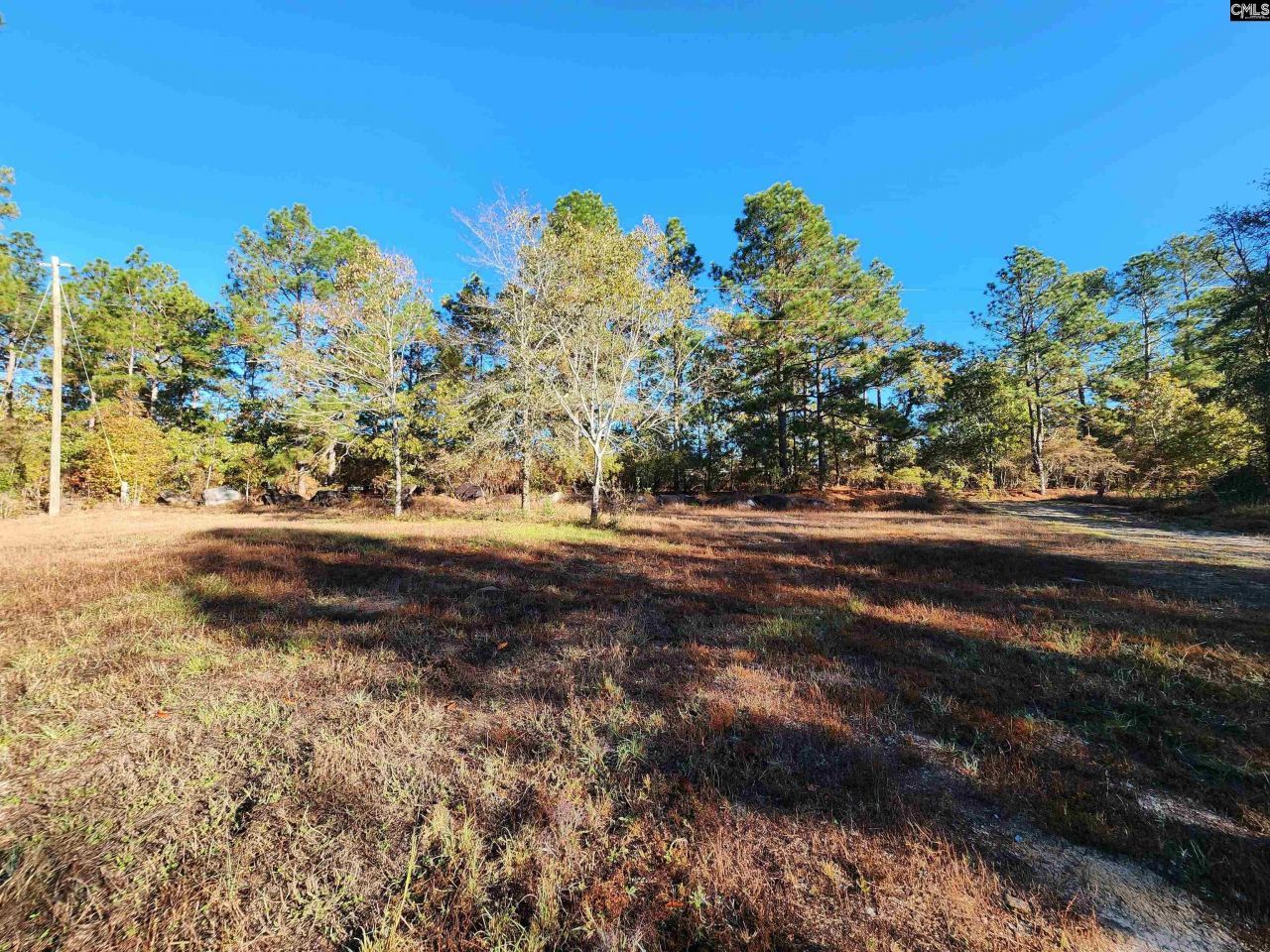 323 Haven Road Photo 13