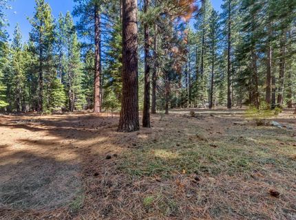 1259 Bonanza Avenue, South Lake Tahoe, CA 96150 Photo