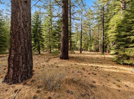 1258 Emerald Bay Road, South Lake Tahoe, CA 96150 Photo